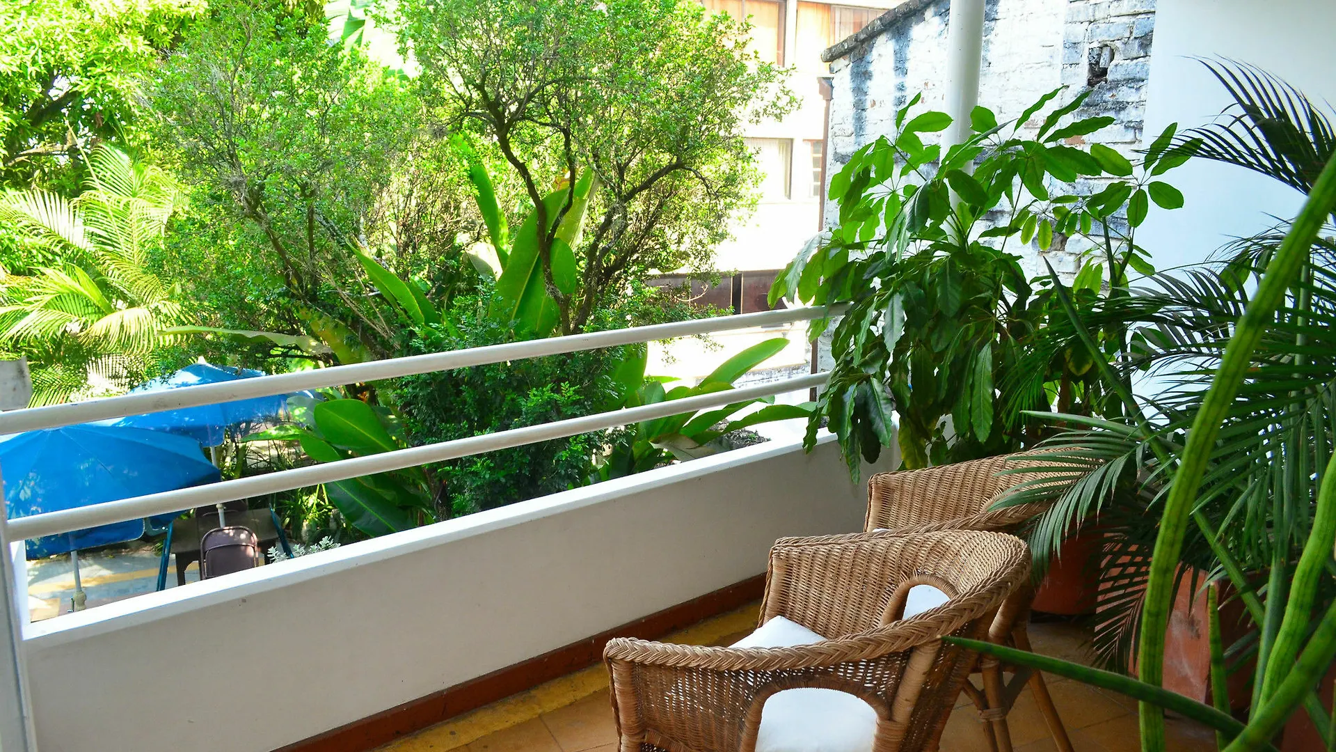 ***  Casa Hotel Jardin Azul Кали Колумбия